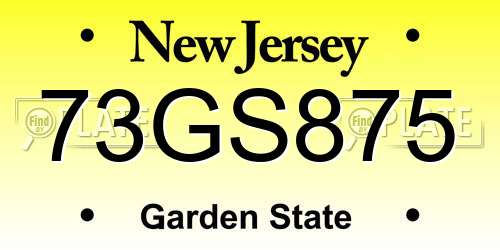 73GS875 New Jersey License Plate