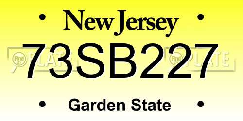 73SB227 New Jersey License Plate