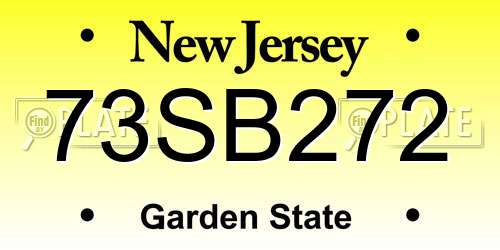 73SB272 New Jersey License Plate