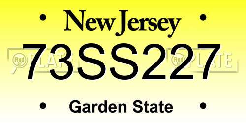73SS227 New Jersey License Plate