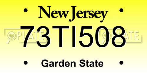 73TI508 New Jersey License Plate
