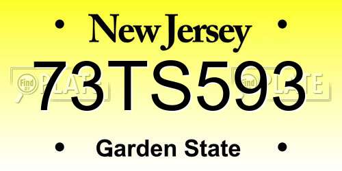 73TS593 New Jersey License Plate