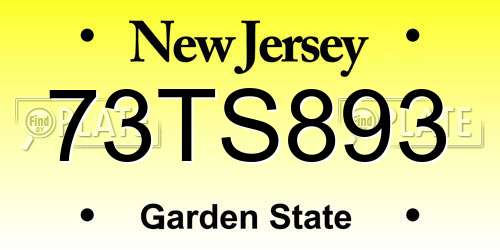 73TS893 New Jersey License Plate