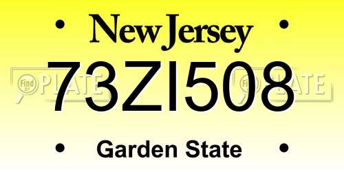73ZI508 New Jersey License Plate