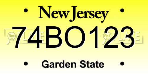 74BO123 New Jersey License Plate