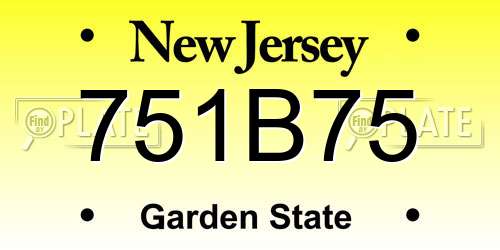 751B75 New Jersey License Plate