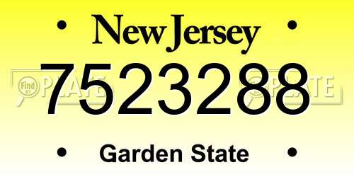 7523288 New Jersey License Plate
