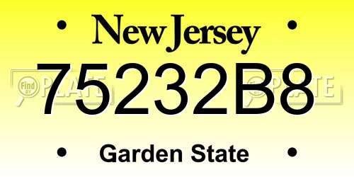 75232B8 New Jersey License Plate
