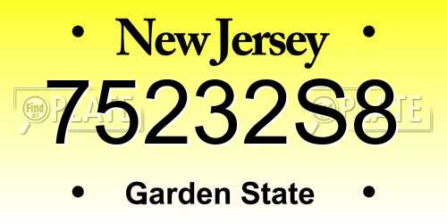 75232S8 New Jersey License Plate
