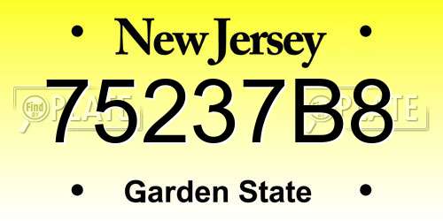 75237B8 New Jersey License Plate