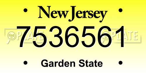 7536561 New Jersey License Plate