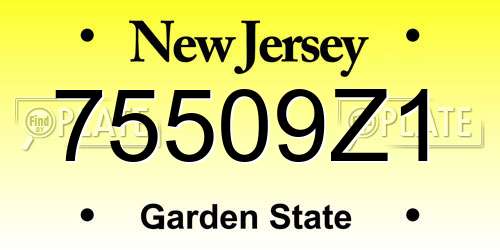 75509Z1 New Jersey License Plate