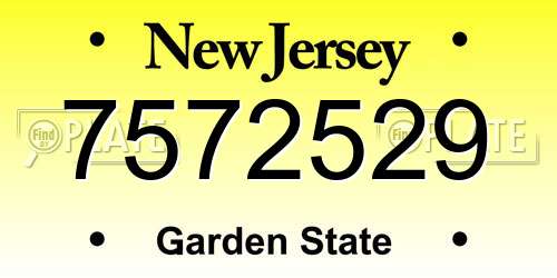 7572529 New Jersey License Plate