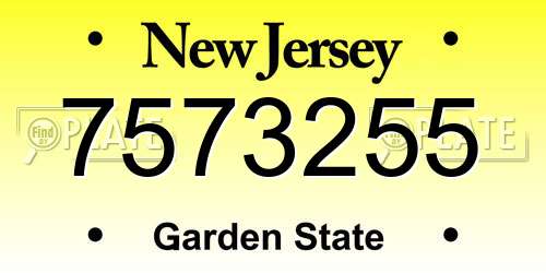 7573255 New Jersey License Plate