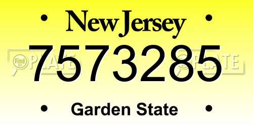7573285 New Jersey License Plate