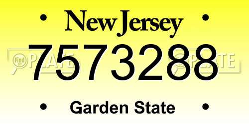 7573288 New Jersey License Plate