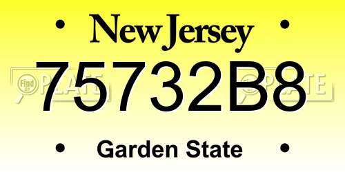75732B8 New Jersey License Plate
