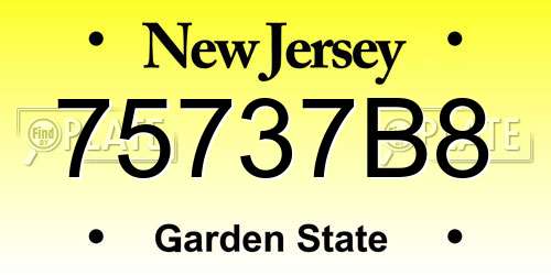 75737B8 New Jersey License Plate