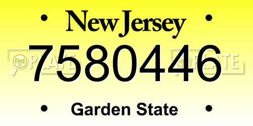 7580446 New Jersey License Plate