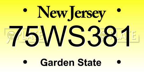75WS381 New Jersey License Plate