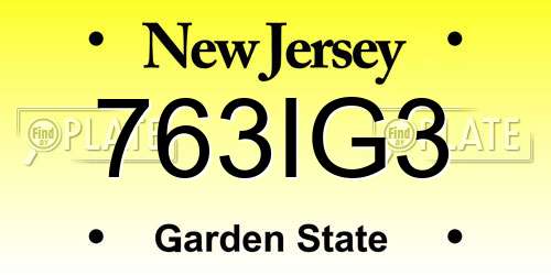 763IG3 New Jersey License Plate