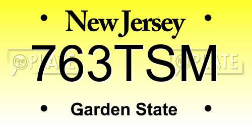 763TSM New Jersey License Plate
