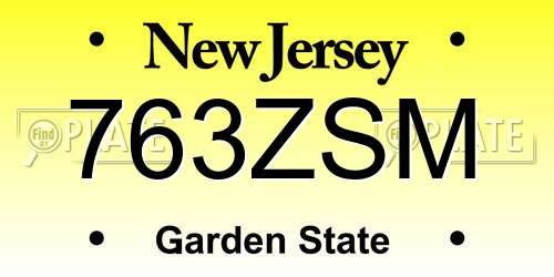 763ZSM New Jersey License Plate