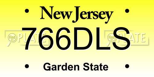766DLS New Jersey License Plate