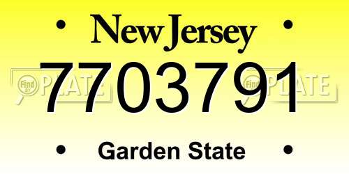 7703791 New Jersey License Plate