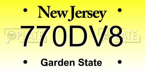 770DV8 New Jersey License Plate