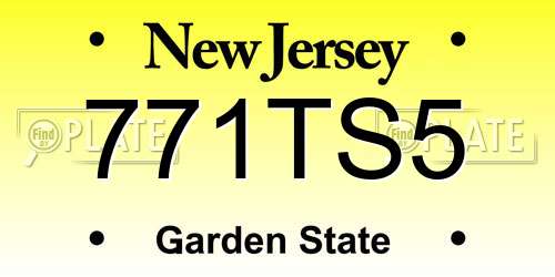 771TS5 New Jersey License Plate