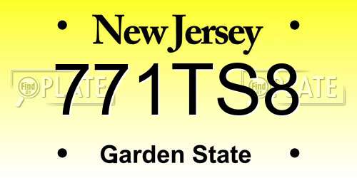 771TS8 New Jersey License Plate