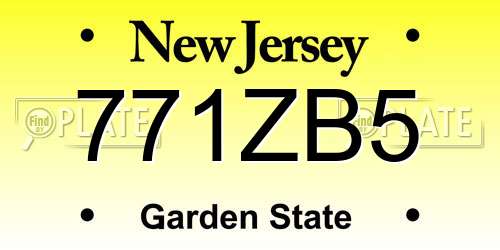 771ZB5 New Jersey License Plate