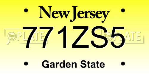 771ZS5 New Jersey License Plate