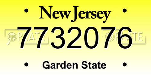 7732076 New Jersey License Plate