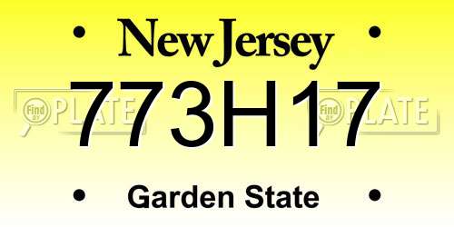 773H17 New Jersey License Plate