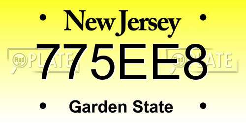 775EE8 New Jersey License Plate