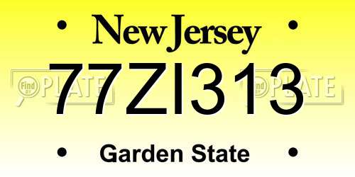 77ZI313 New Jersey License Plate