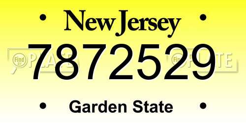 7872529 New Jersey License Plate