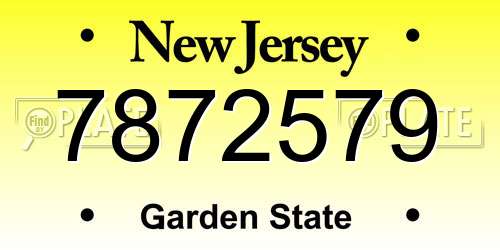 7872579 New Jersey License Plate