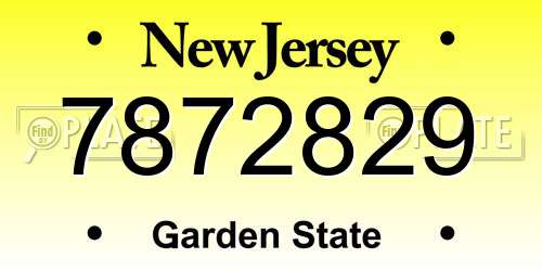 7872829 New Jersey License Plate