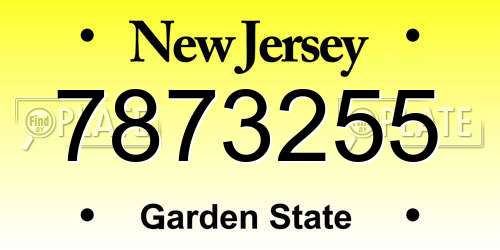 7873255 New Jersey License Plate