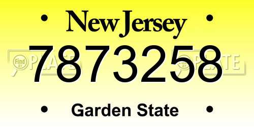 7873258 New Jersey License Plate