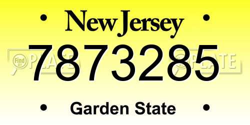 7873285 New Jersey License Plate