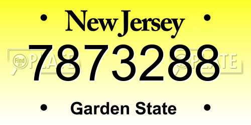 7873288 New Jersey License Plate