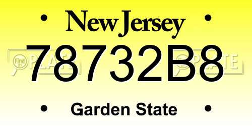 78732B8 New Jersey License Plate