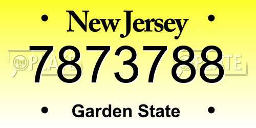 7873788 New Jersey License Plate