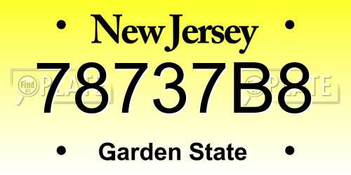 78737B8 New Jersey License Plate