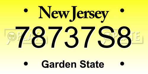 78737S8 New Jersey License Plate