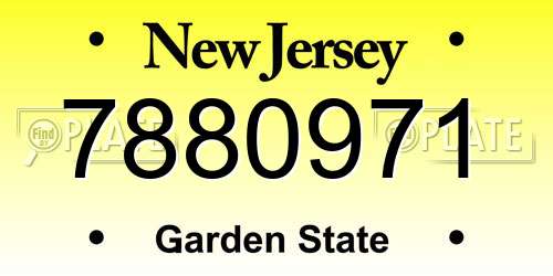 7880971 New Jersey License Plate